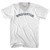 Binghamton Adult Tri-Blend V-neck T-shirt - White