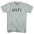 Salty Adult Tri-Blend T-shirt - Athletic Cool Grey