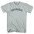 Dominique Adult Tri-Blend T-shirt - Athletic Cool Grey
