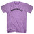 Summerville Adult Tri-Blend T-shirt - Athletic Purple