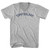 Tomfoolery Adult Cotton V-neck T-shirt - Grey Heather