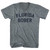 Florida Sober Tri-Blend V-neck Womens Junior Cut T-shirt - Athletic Grey