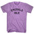 Emerald Isle Adult Tri-Blend T-shirt - Athletic Purple