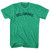 Delaware Adult Tri-Blend T-shirt - Athletic Green