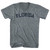Florida Tri-Blend V-neck Womens Junior Cut T-shirt - Athletic Grey