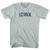 Iowa Adult Tri-Blend T-shirt - Athletic Cool Grey