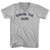 Shrink the Game Adult Cotton V-neck T-shirt - Grey Heather