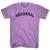Abnormal Adult Tri-Blend T-shirt - Athletic Purple