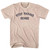 Stop Making Sense Adult Tri-Blend T-shirt - Sand