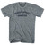 Neuroplasticity Gangster Youth Tri-Blend T-shirt - Athletic Grey