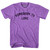 Somebody To Love Adult Tri-Blend T-shirt - Heather Purple