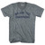 We Are The Champions Adult Tri-Blend V-neck T-shirt - Athletic Grey