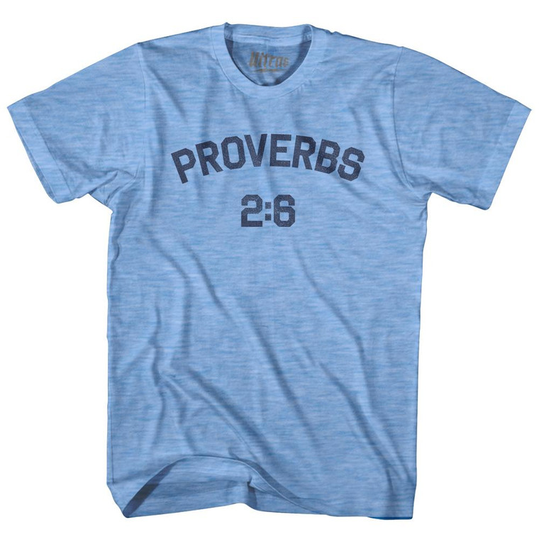 Proverbs 2 6 Adult Tri-Blend T-Shirt by Ultras