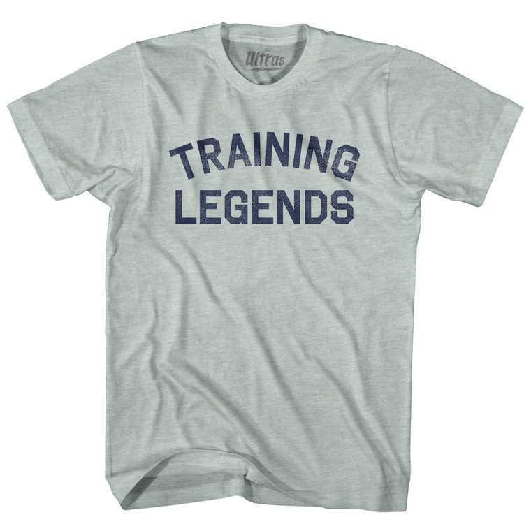Training Legends Adult Tri-Blend T-shirt - Athletic Cool Grey