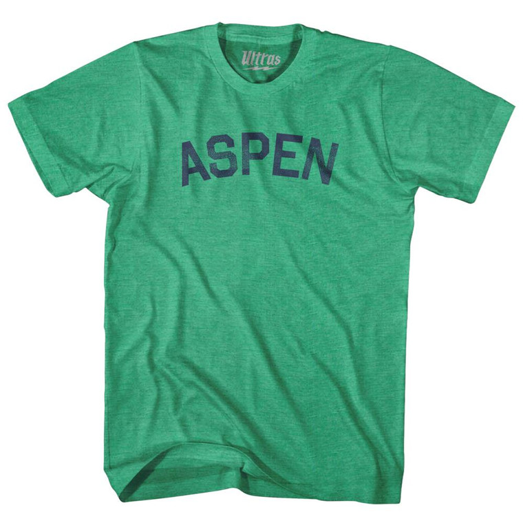 Aspen Adult Cotton T-Shirt - Kelly Green