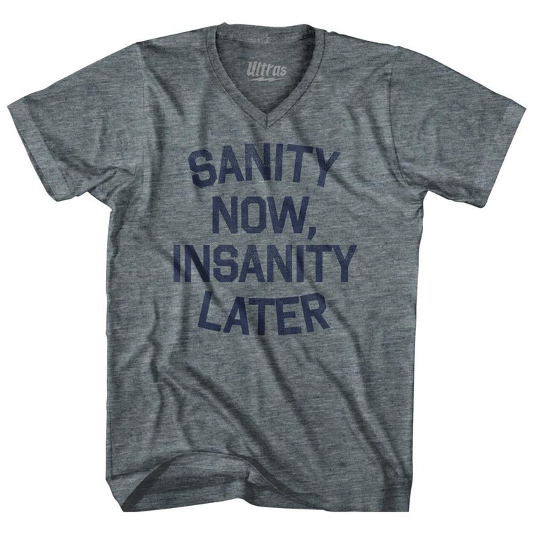 Sanity Now Insanity Later Adult Tri-Blend V-Neck Womens Junior Cut T-Shirt - Athletic Grey