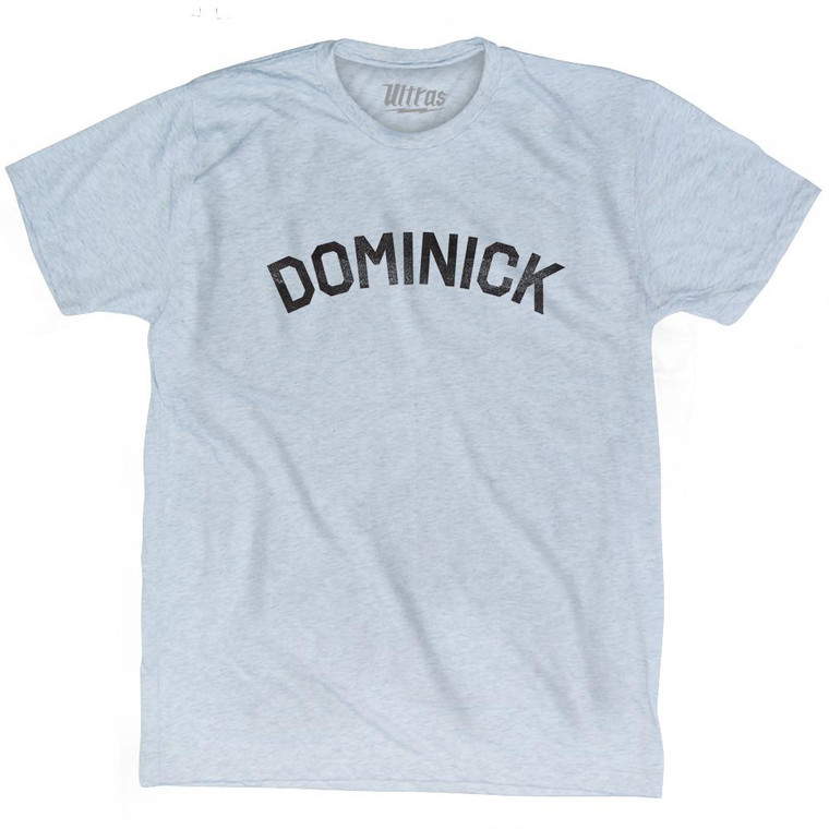 Dominick Adult Tri-Blend T-shirt - Athletic White