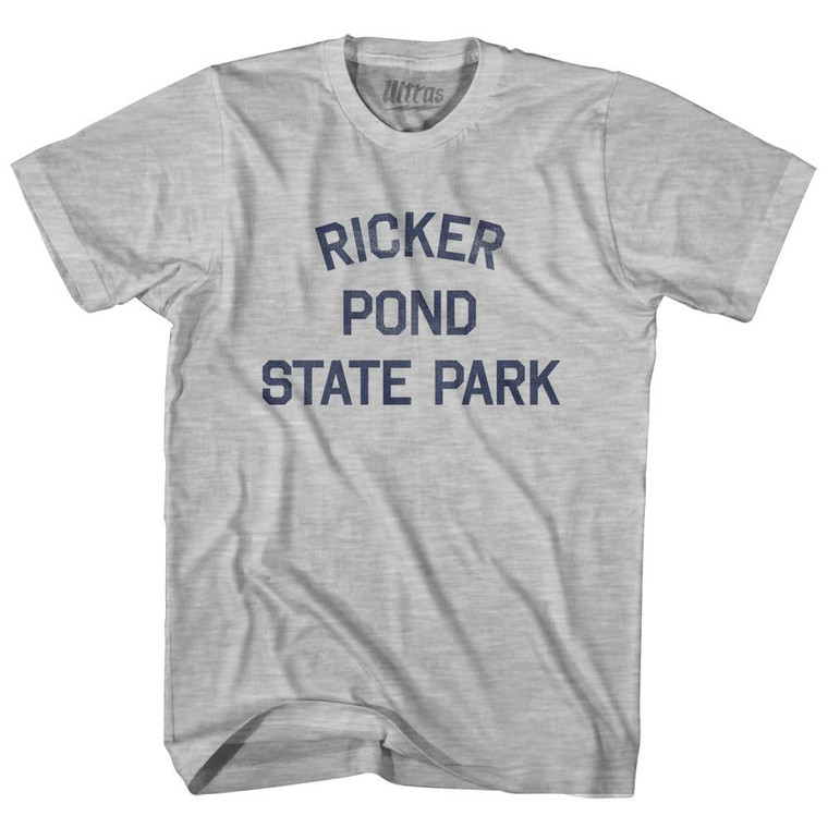 Vermont Ricker Pond State Park Womens Cotton Junior Cut Vintage T-shirt - Grey Heather