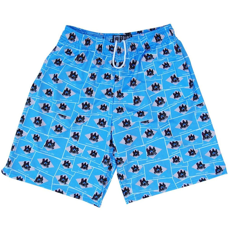 Delaware Party Flags Lacrosse Shorts Made in USA - Blue