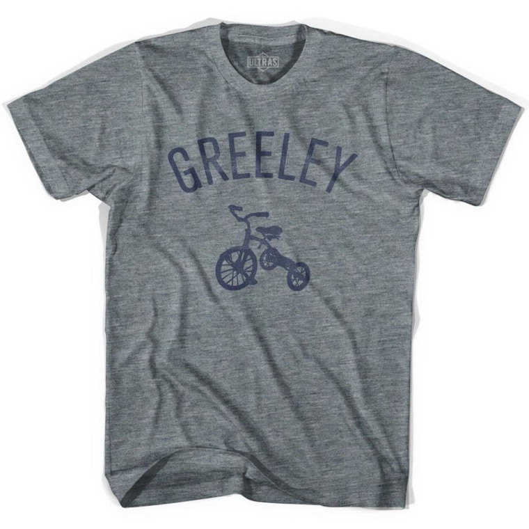 Greeley City Tricycle Womens Tri-Blend T-shirt - Athletic Grey
