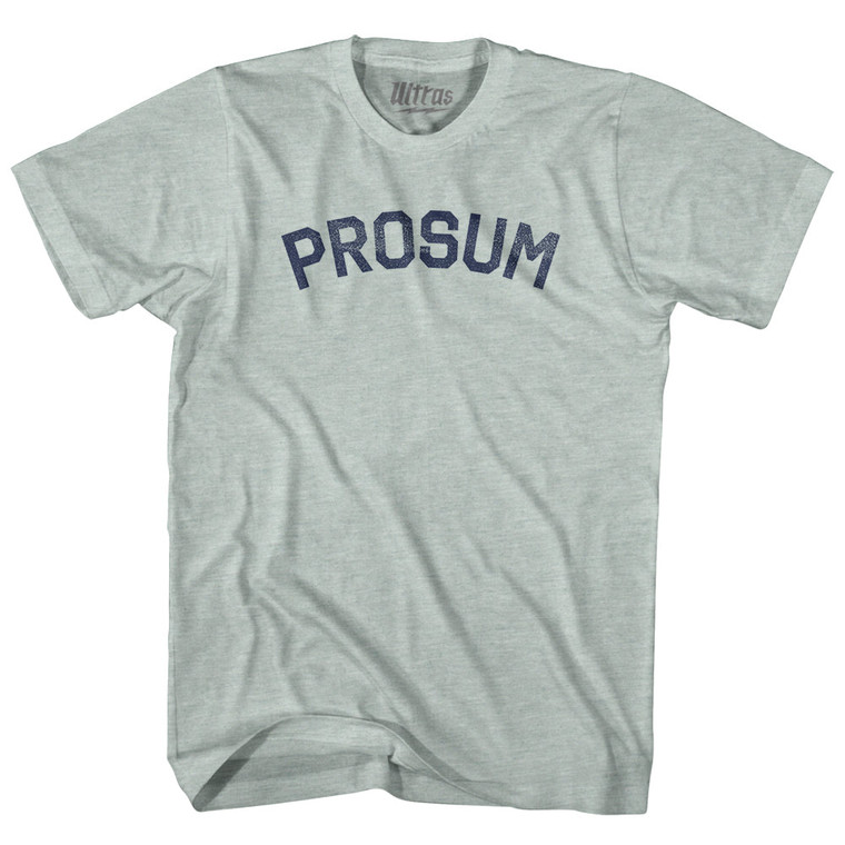 Prosum Adult Tri-Blend T-shirt - Athletic Cool Grey