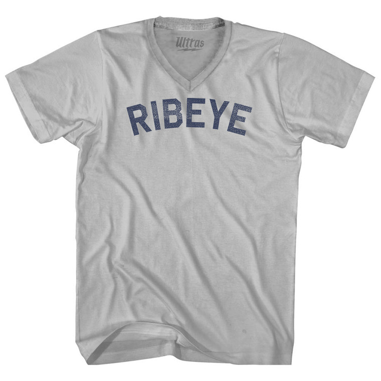 Ribeye Adult Tri-Blend V-neck T-shirt - Cool Grey
