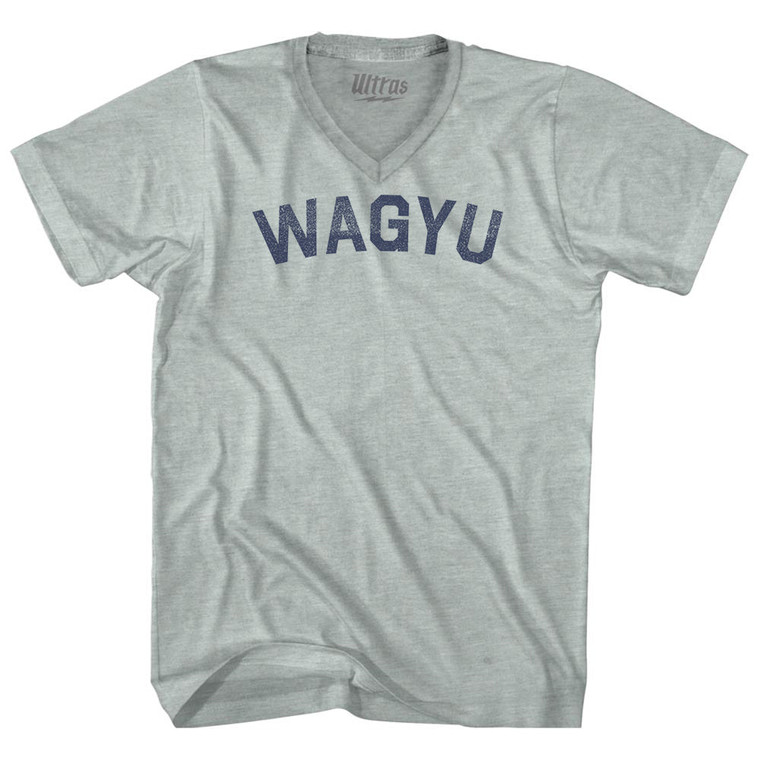 Wagyu Adult Tri-Blend V-neck T-shirt - Athletic Cool Grey