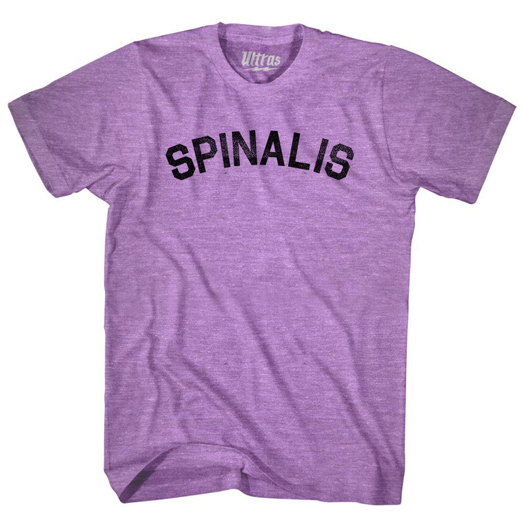 Spinalis Adult Tri-Blend T-shirt - Athletic Purple