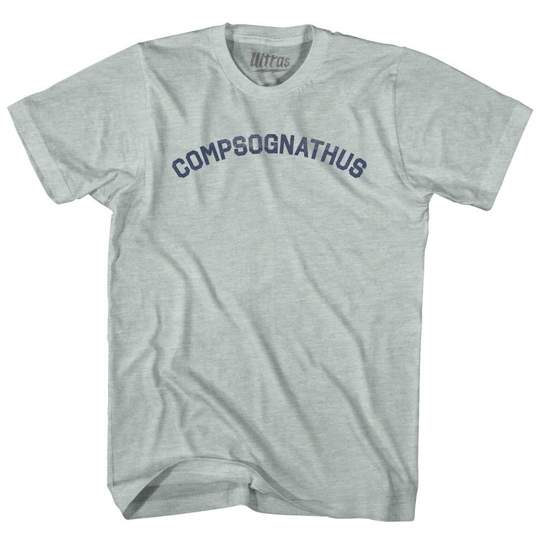 Compsognathus Adult Tri-Blend T-shirt - Athletic Cool Grey