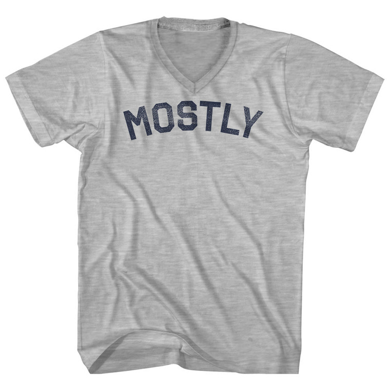 Mostly Adult Cotton V-neck T-shirt Grey Heather