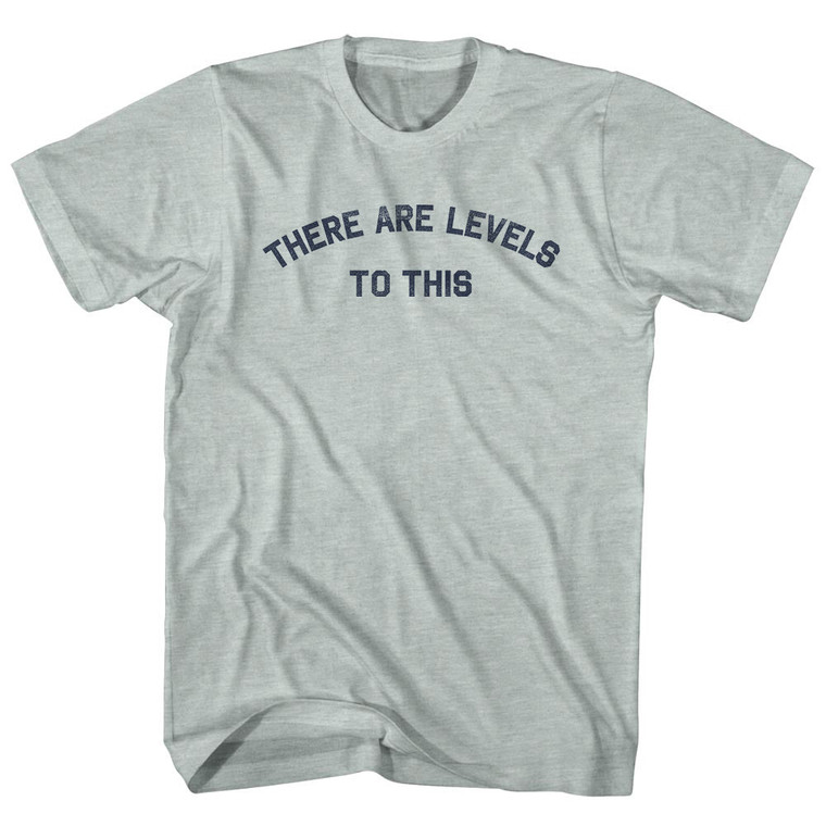 There Are Levels To This Adult Tri-Blend T-shirt - Athletic Cool Grey