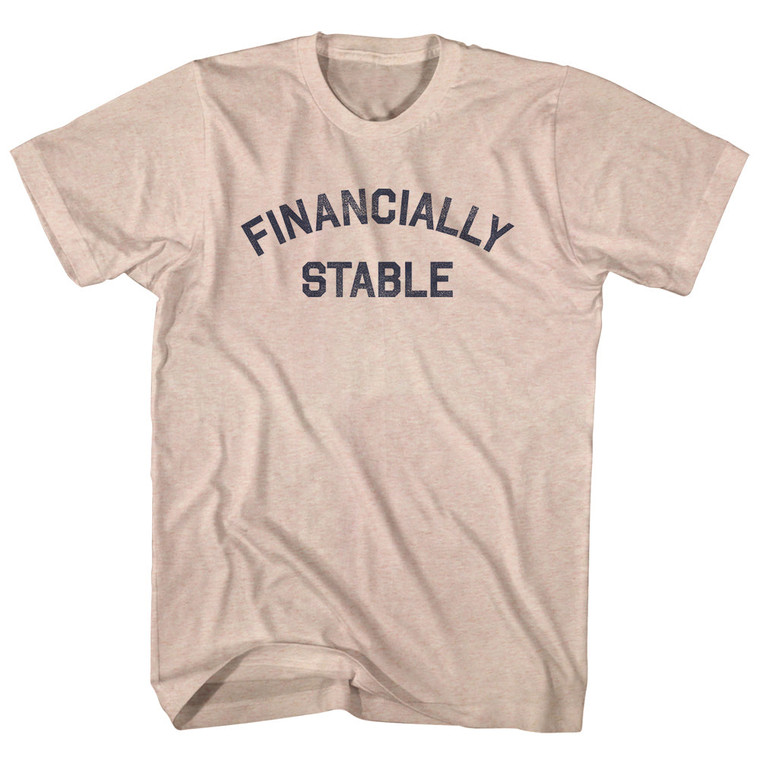 Financially Stable Adult Tri-Blend T-shirt - Sand