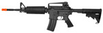 ZM81B
