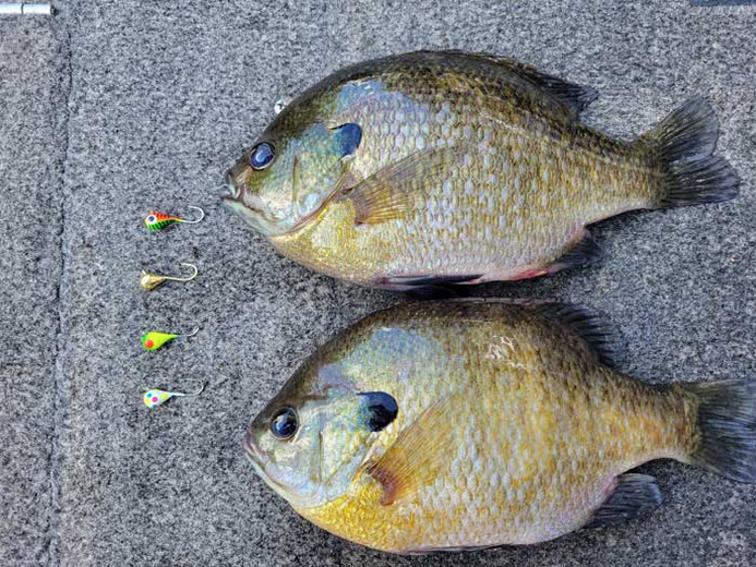 Ice Fishing with Hair Jigs for Panfish - On The Water