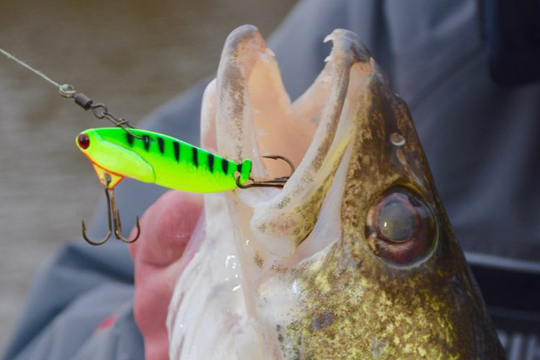 Blade Baiting Largemouths In Cold Water 