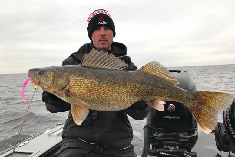 Drop Shot Walleyes - In-Fisherman