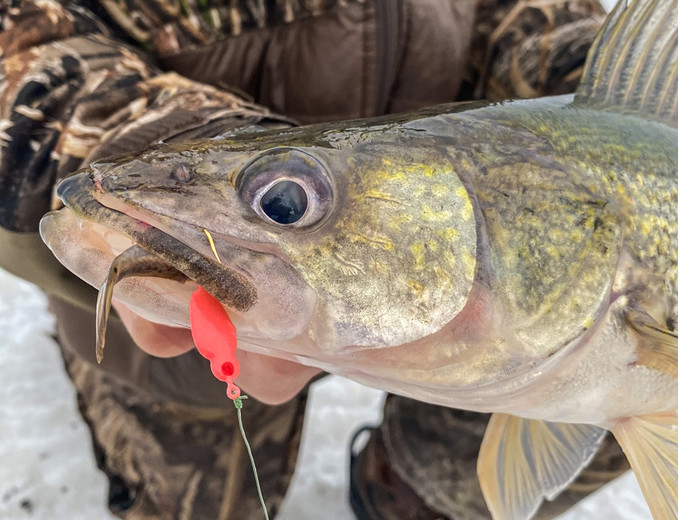 The Best Ice Fishing Jig Ever? - Custom Jigs & Spins