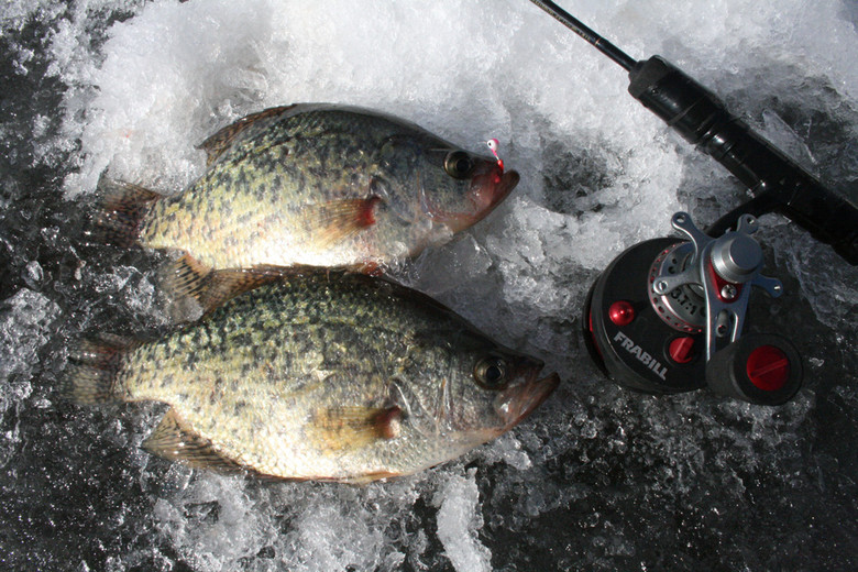 Winter Tackle Ice Fishing Kits, Ice Fishing Jigs Crappie