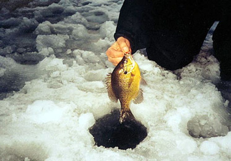 Proven Panfish Practices: Catch More with Bluegill jigs - Custom Jigs &  Spins