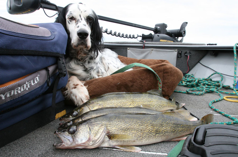 The Best Walleye Fishing in March is in a Nearby River! Enjoy a few of my Best  Walleye Techniques! - Custom Jigs & Spins