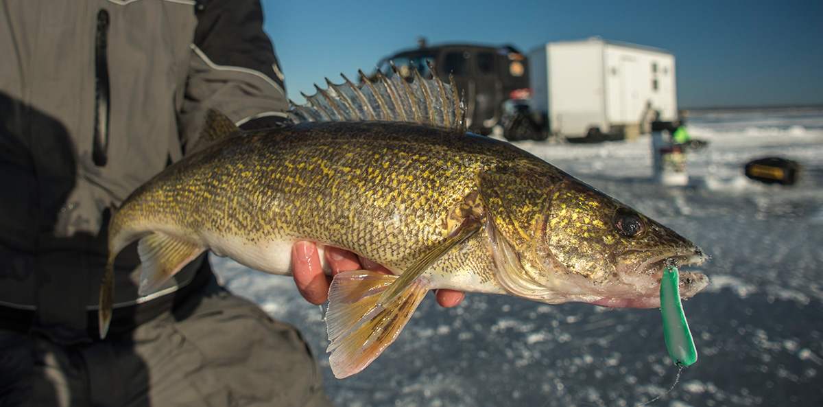 Basic Ice Fishing Tackle