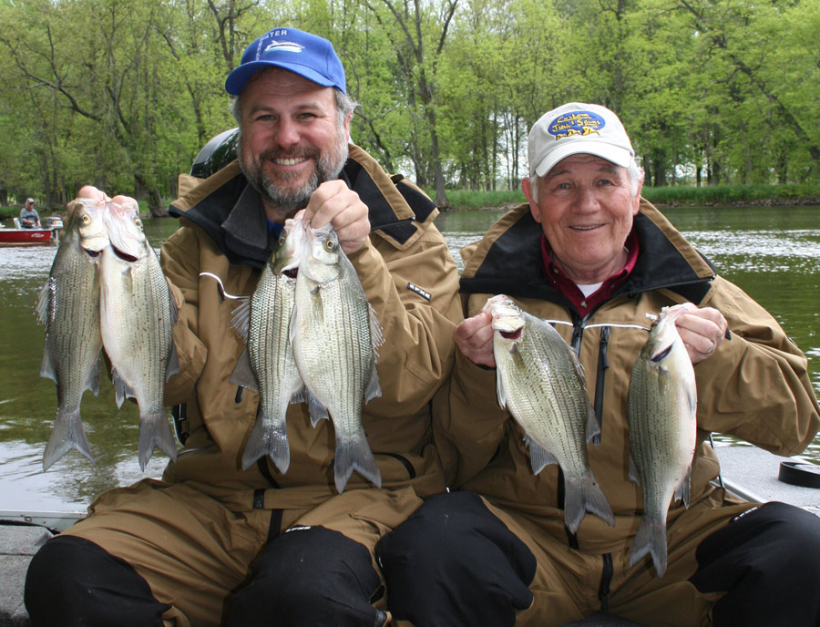 White Bass Over Walleyes? - In-Fisherman