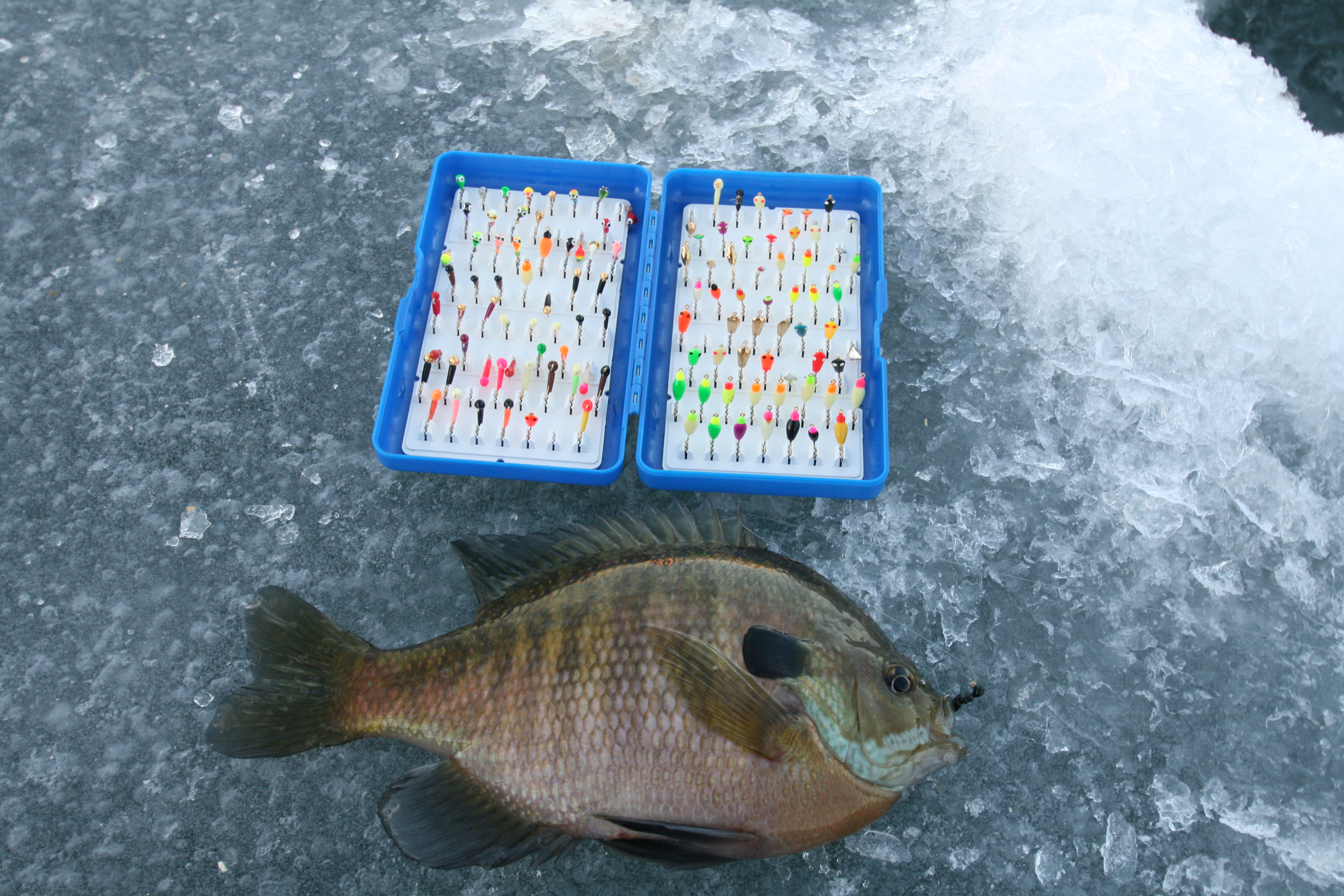 Rose Creek Polar Boxes: Hold Ice Fishing Jigs Securely