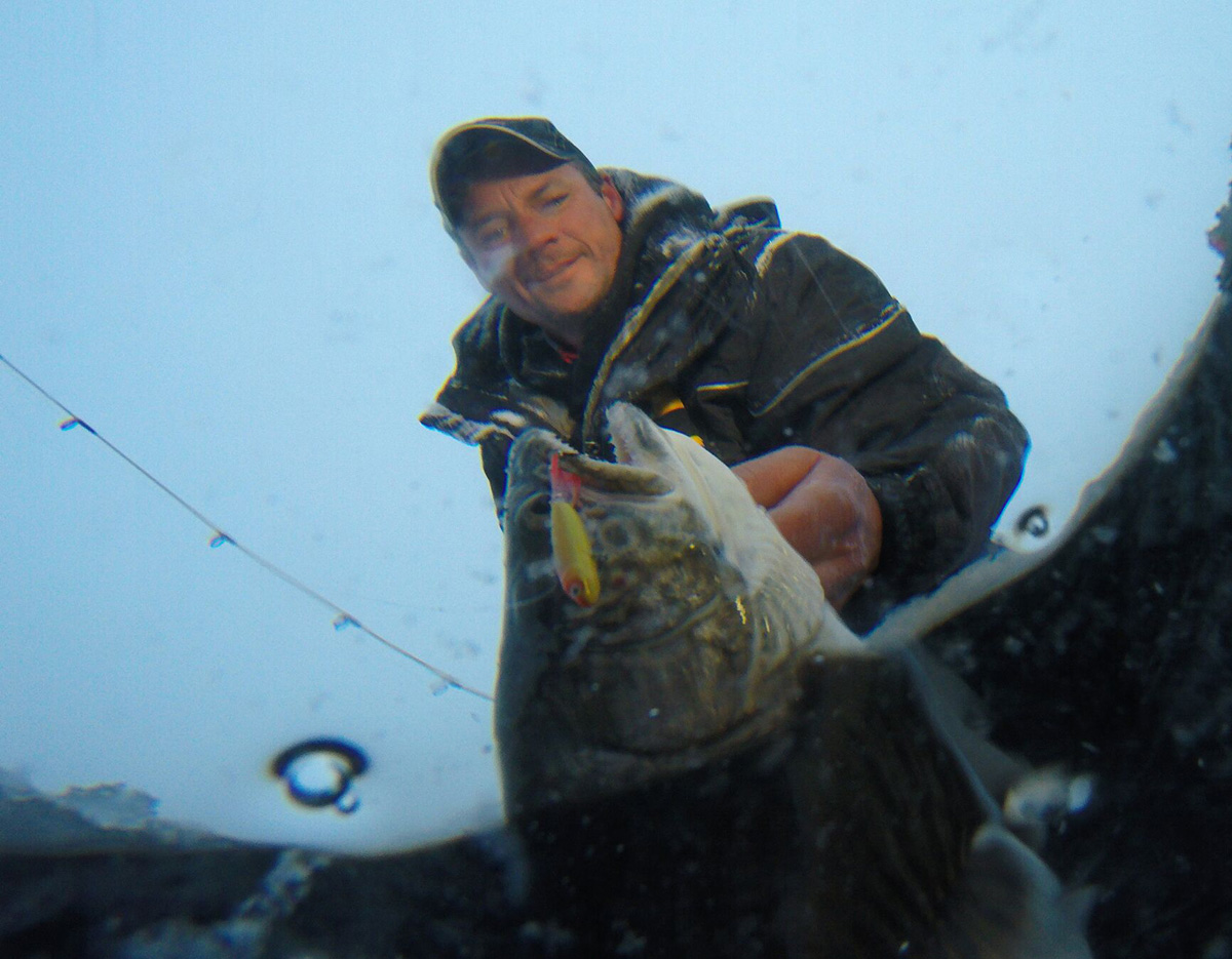 Ice Fishing  LOTW WALLEYES with PLASTICS! (Multi Species Caught