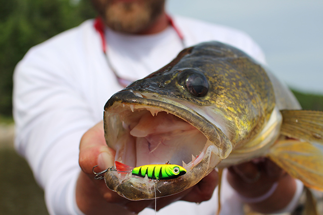 Press Release: The One for Walleyes: Best Lure for Walleye