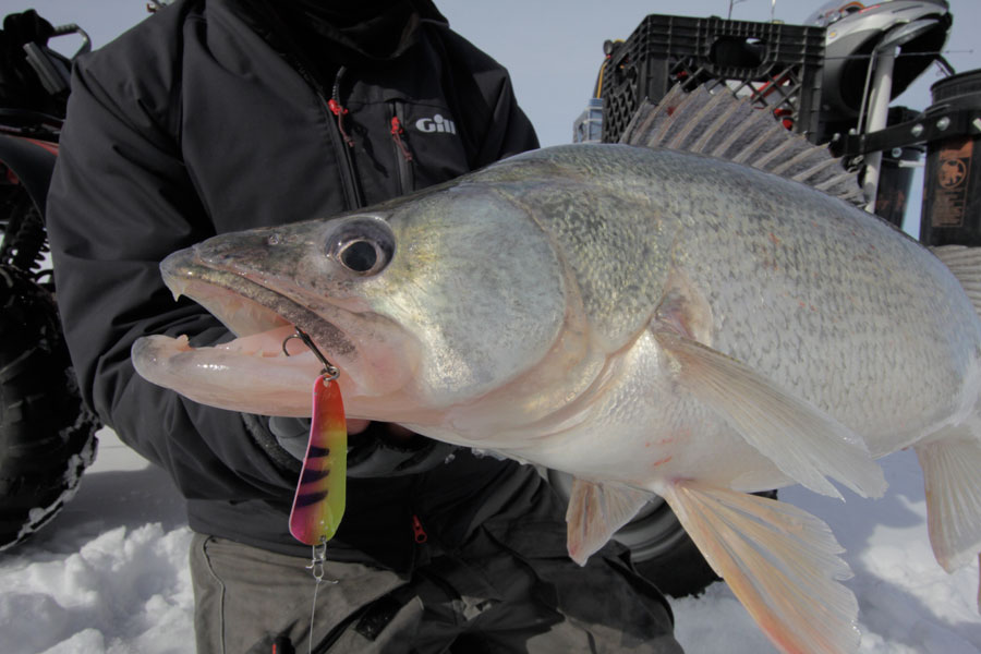 Spoon Feeding Bass, Pike and Walleyes - MidWest Outdoors