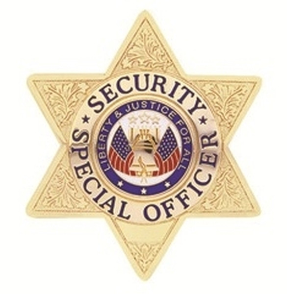 SECURITY SPECIAL OFFICER Badge, Enameled & Plated Durable 5-Pc Pin