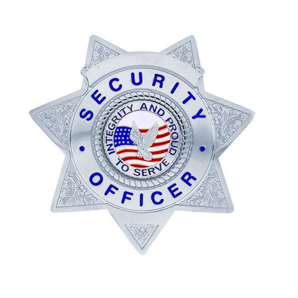 SECURITY OFFICER Lightweight Badge, Enameled & Plated, Pin