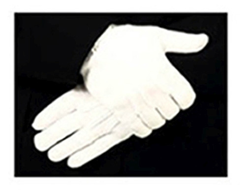 Parade Gloves, Nylon Stretch with Raised Pointing, Snap