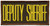 DEPUTY SHERIFF Chest Patch, Hook, Medium Gold/Brown 4x2"